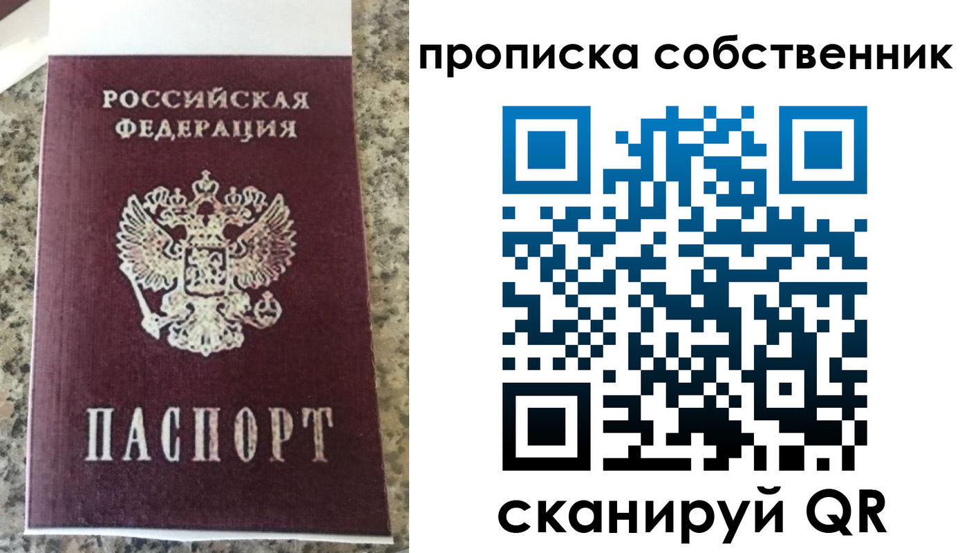 прописка для школы в Александрове